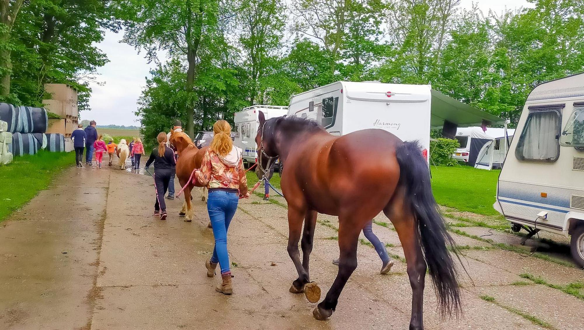 Boerderijcamping De Hinde Dronten Exterior foto